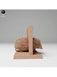 Hedgehog passing through door