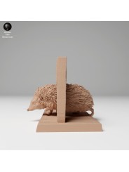 Hedgehog passing through door