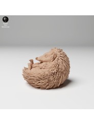 Hedgehog on his back