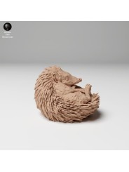 Hedgehog on his back