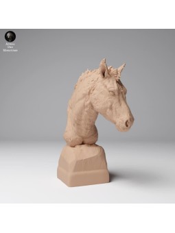 Busto Caballo salvaje mongol