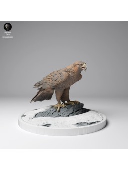 Golden eagle perched