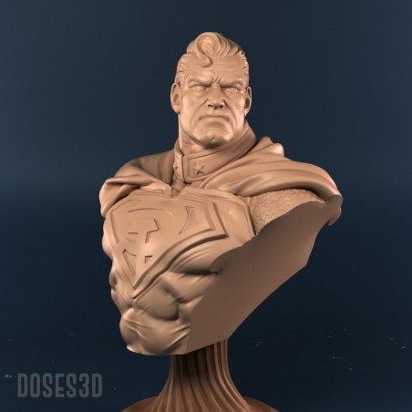 Super Man Bust