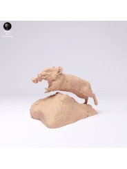 American pika running