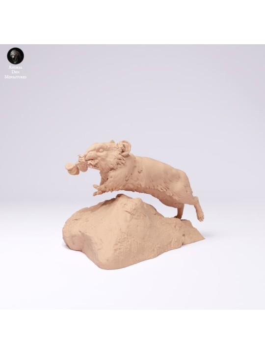 American pika running