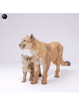 Leon de montaña con cachorro