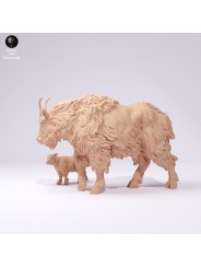 Cabra de las montañas rocosas hembra y cría