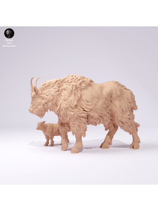 Cabra de las montañas rocosas hembra y cría