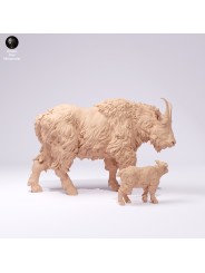 Cabra de las montañas rocosas hembra y cría