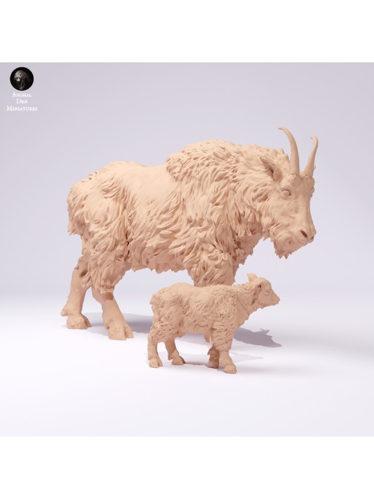 Cabra de las montañas rocosas hembra y cría