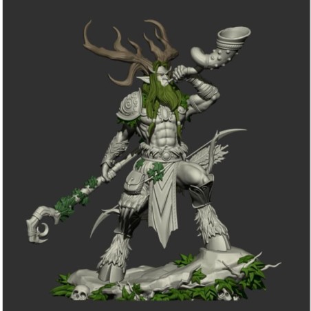 The Wood Elf Druid