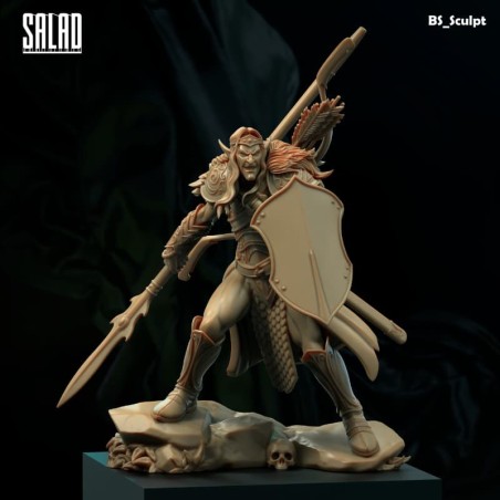 The Wood ELf Warrior