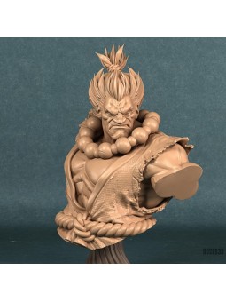 Busto Akuma