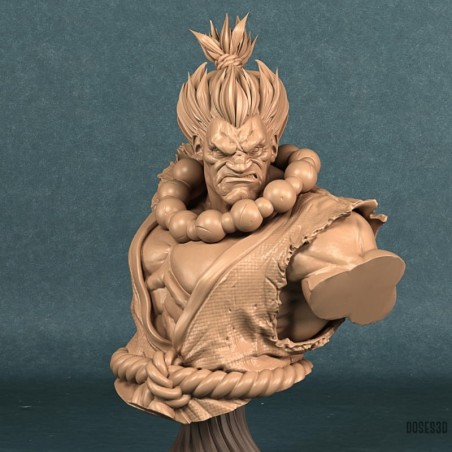 Busto Akuma