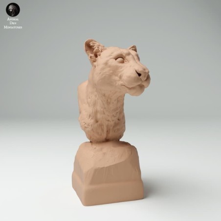 Busto Leopardo nublado