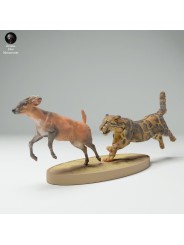 Clouded leopard hunting