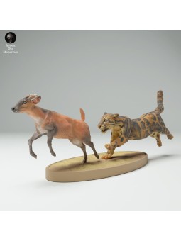 Clouded leopard hunting