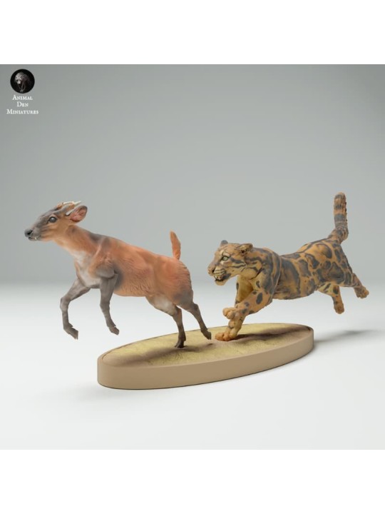 Clouded leopard hunting