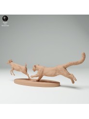 Clouded leopard hunting