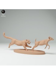 Clouded leopard hunting