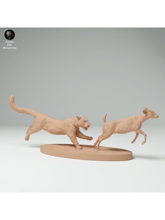 Clouded leopard hunting