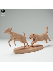 Clouded leopard hunting