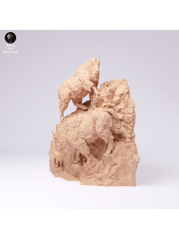 Rocky Mountain Goats on Cliff