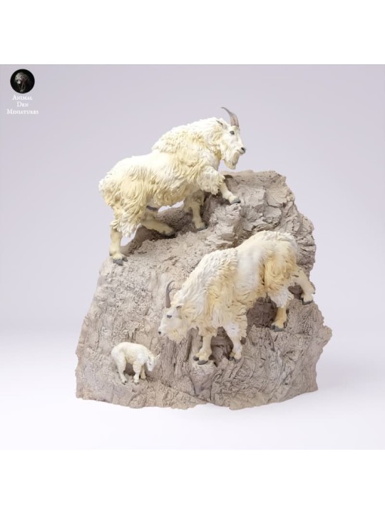 Rocky Mountain Goats on Cliff
