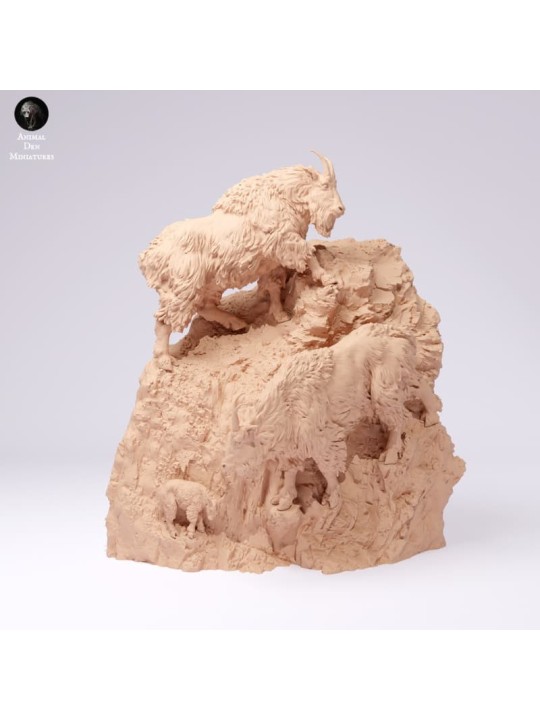 Rocky Mountain Goats on Cliff