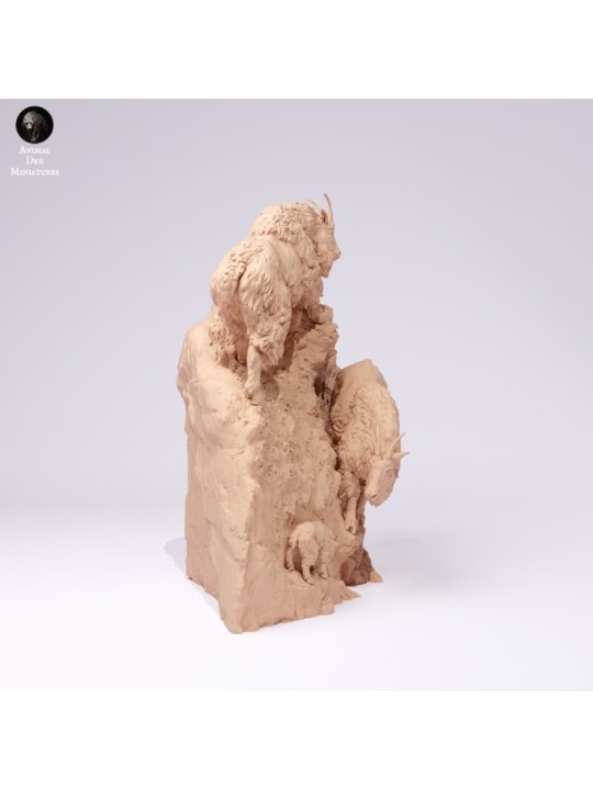 Rocky Mountain Goats on Cliff