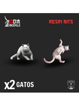Set de Gatos