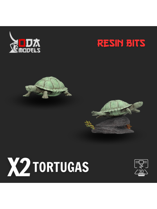 Set de tortugas