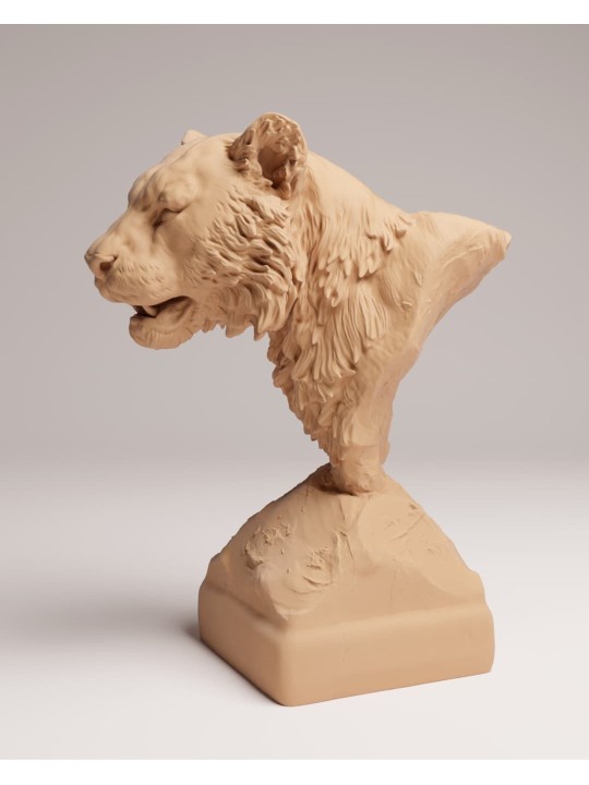 Busto Tigre de Sumatra