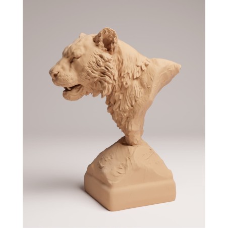 Busto Tigre de Sumatra