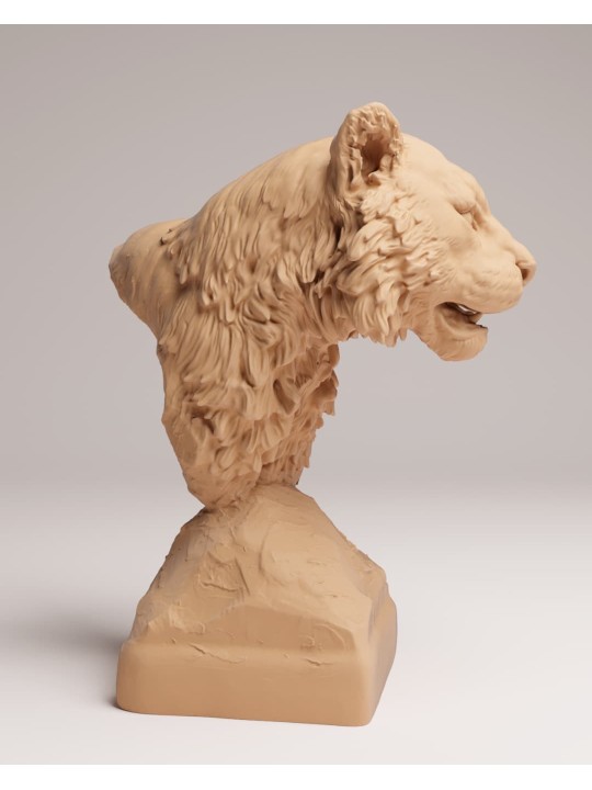 Busto Tigre de Sumatra