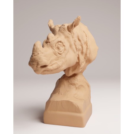 Busto Rinoceronte de Sumatra