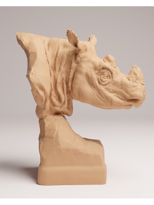 Busto Rinoceronte de Sumatra