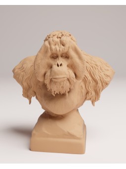Busto Orangután de Sumatra