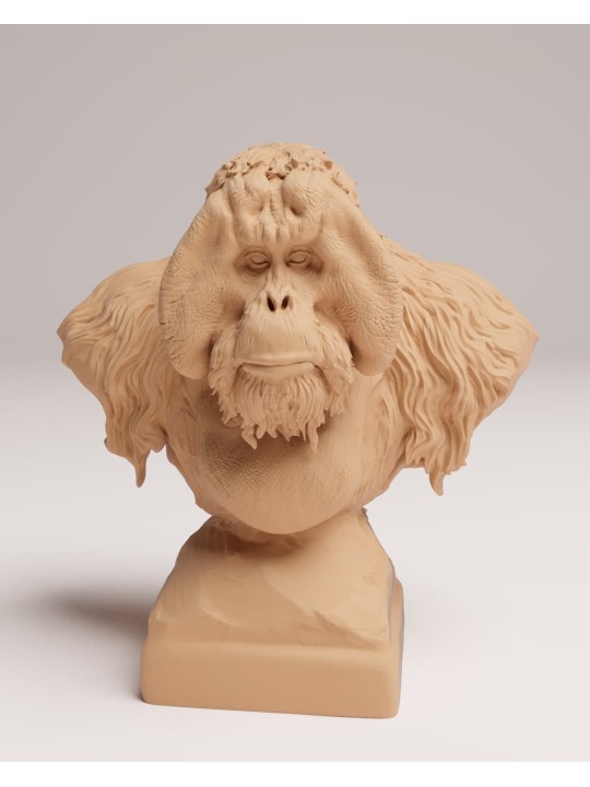 Busto Orangután de Sumatra