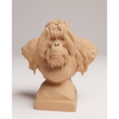 Busto Orangután de Sumatra