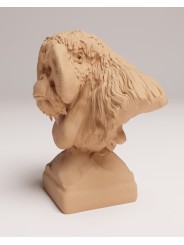 Busto Orangután de Sumatra