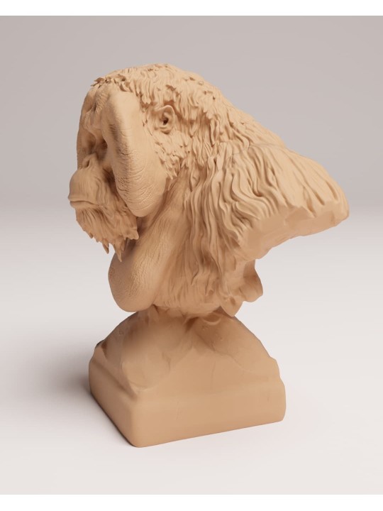 Busto Orangután de Sumatra