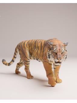 Tigre de sumatra caminando