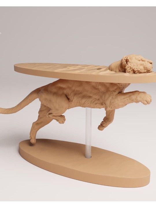 Tigre de sumatra nadando