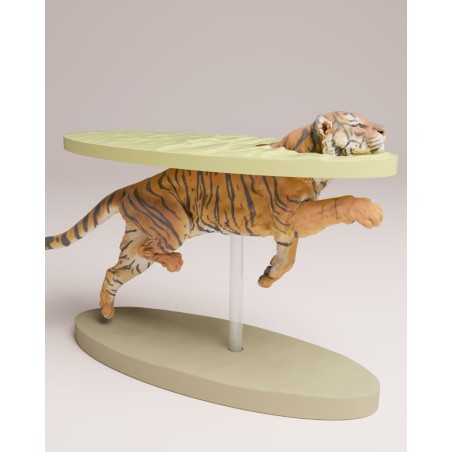 Tigre de sumatra nadando