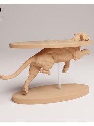 Sumatran tiger swimming