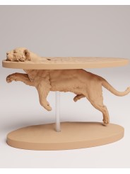 Sumatran tiger swimming