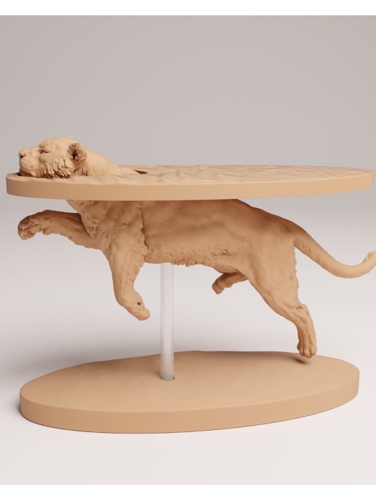 Sumatran tiger swimming