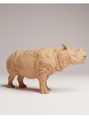 Rinoceronte macho de sumatra