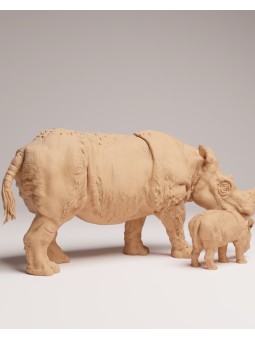 Sumatran rhinoceros with calf